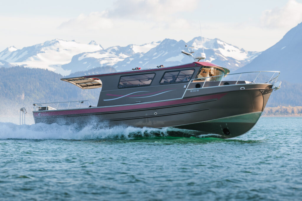 BW_Dreadnought_Small-07