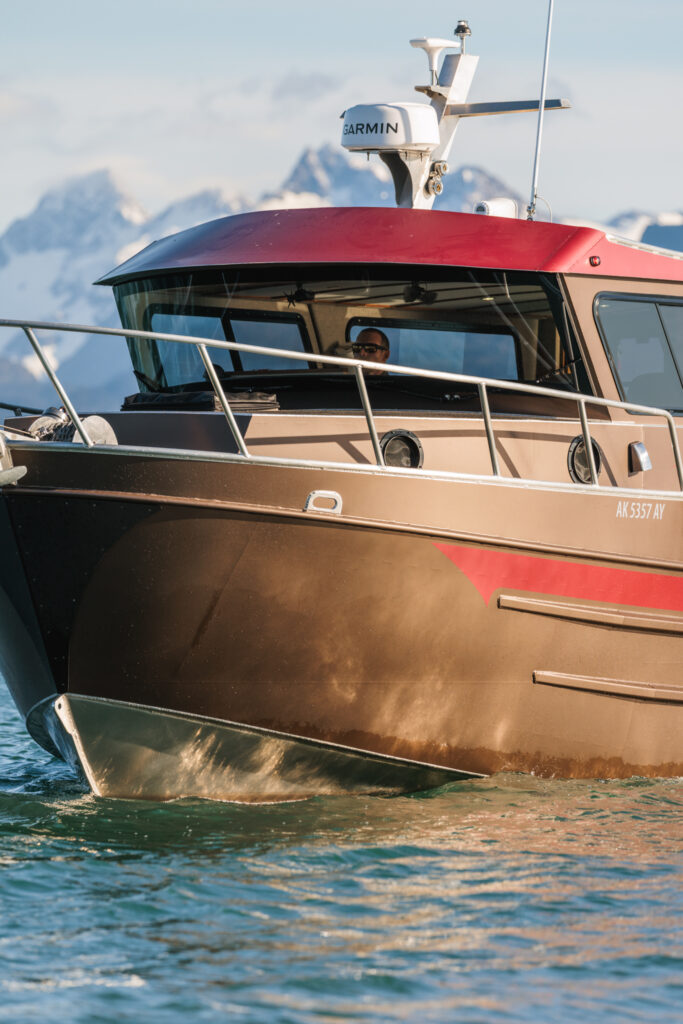 BW_Dreadnought_Small-08